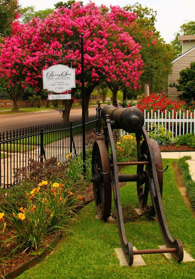 Rising Sun Bed&Breakfast Natchez Bagian luar foto